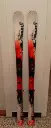 Ski2.webp